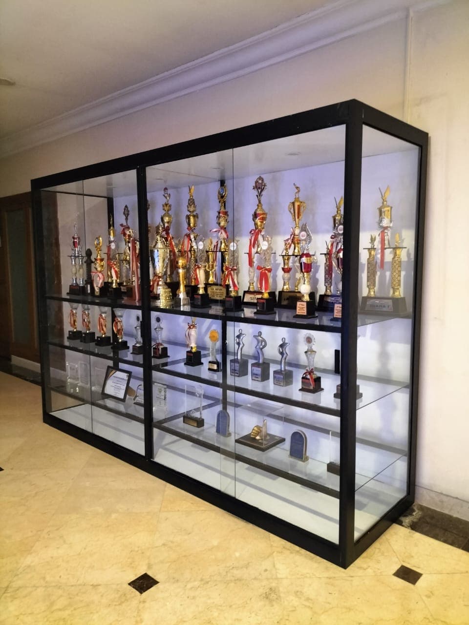 Etalase Lemari Piala Kaca — Instansi Pendidikan, Jabodetabek